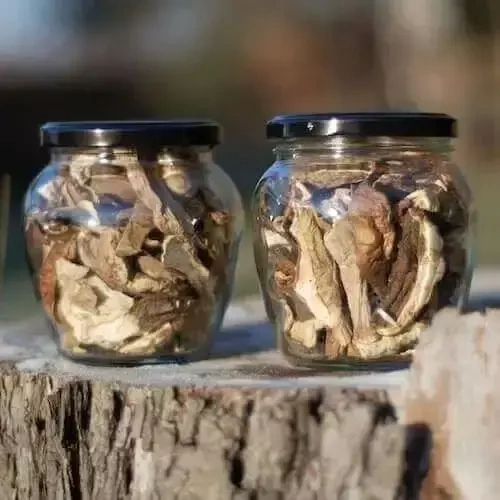 Mushroom collection "Primeval forest mushrooms", 100g